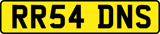 RR54DNS