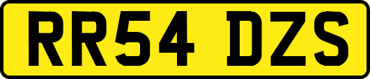 RR54DZS