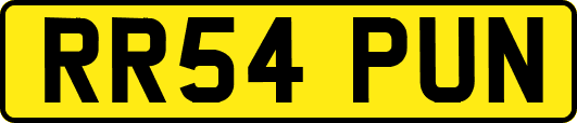 RR54PUN