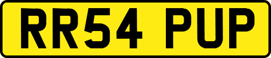RR54PUP