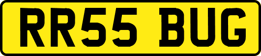 RR55BUG