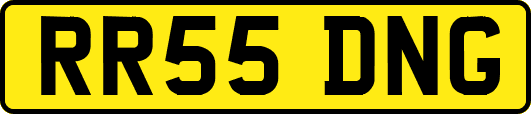 RR55DNG