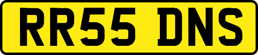 RR55DNS