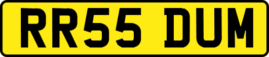 RR55DUM
