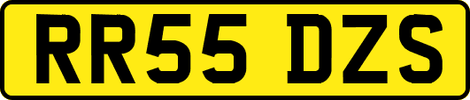 RR55DZS