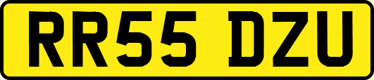 RR55DZU