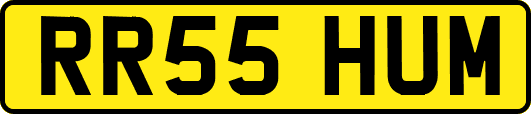 RR55HUM