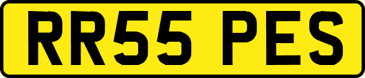 RR55PES