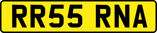RR55RNA