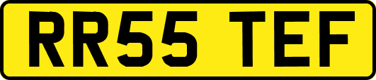 RR55TEF
