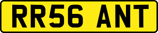RR56ANT
