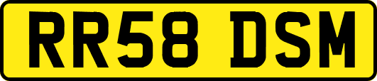 RR58DSM