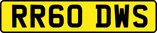 RR60DWS