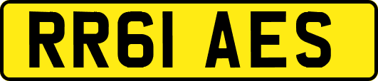 RR61AES