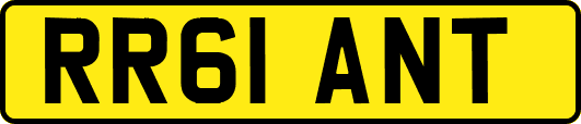 RR61ANT