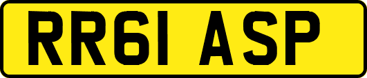 RR61ASP