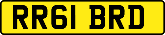 RR61BRD