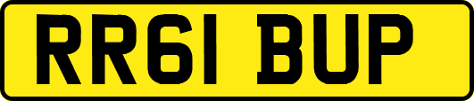 RR61BUP