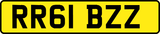 RR61BZZ