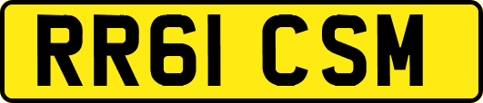 RR61CSM