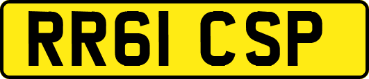 RR61CSP