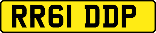 RR61DDP