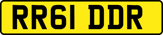 RR61DDR