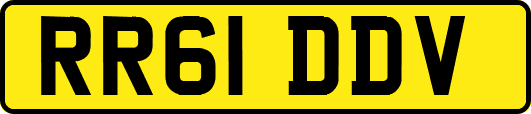 RR61DDV