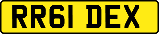 RR61DEX