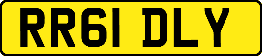 RR61DLY