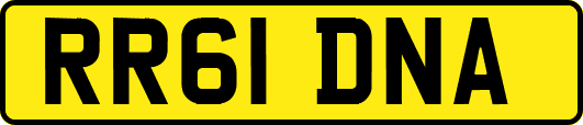 RR61DNA