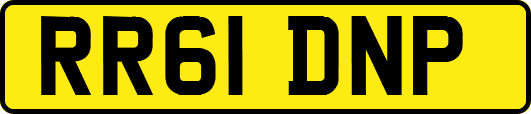 RR61DNP