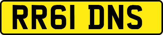 RR61DNS