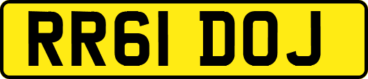 RR61DOJ