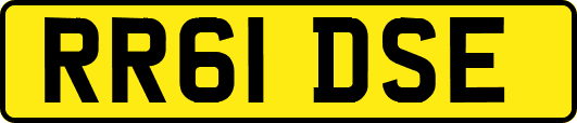 RR61DSE