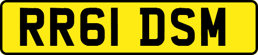 RR61DSM