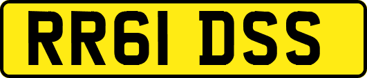 RR61DSS
