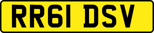 RR61DSV