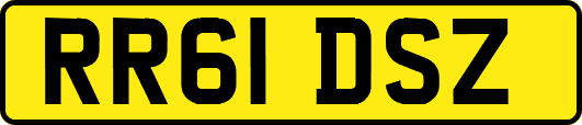 RR61DSZ