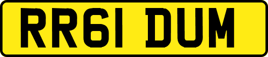 RR61DUM