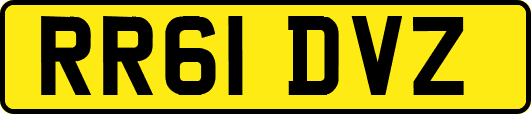 RR61DVZ