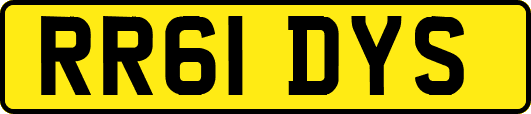 RR61DYS
