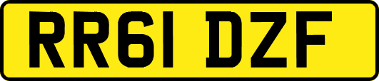 RR61DZF