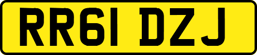 RR61DZJ