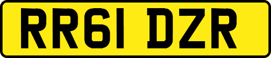 RR61DZR