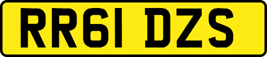 RR61DZS