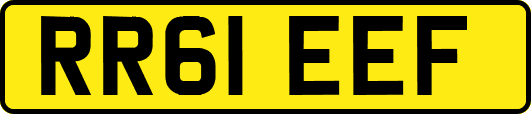 RR61EEF