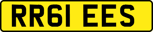 RR61EES