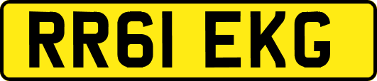 RR61EKG