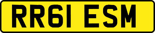 RR61ESM